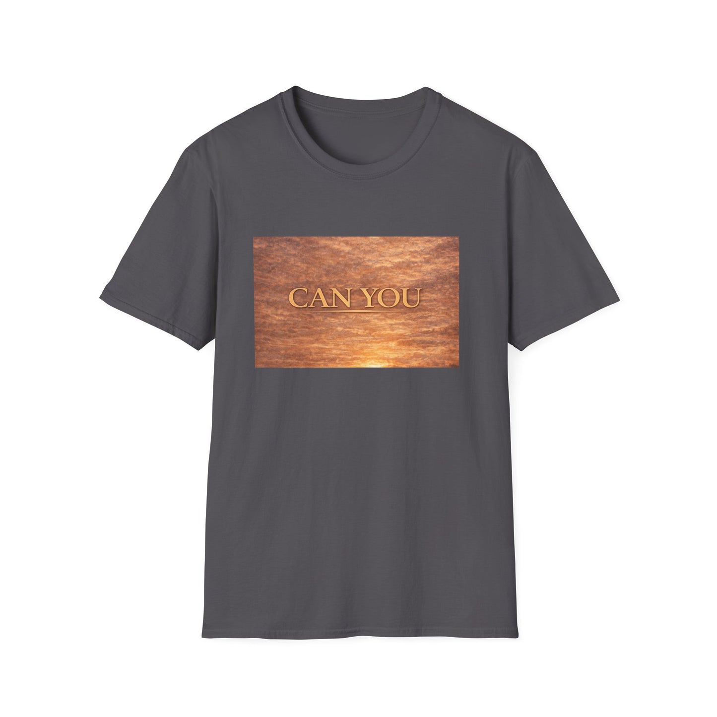 Can You - Unisex Softstyle T-Shirt